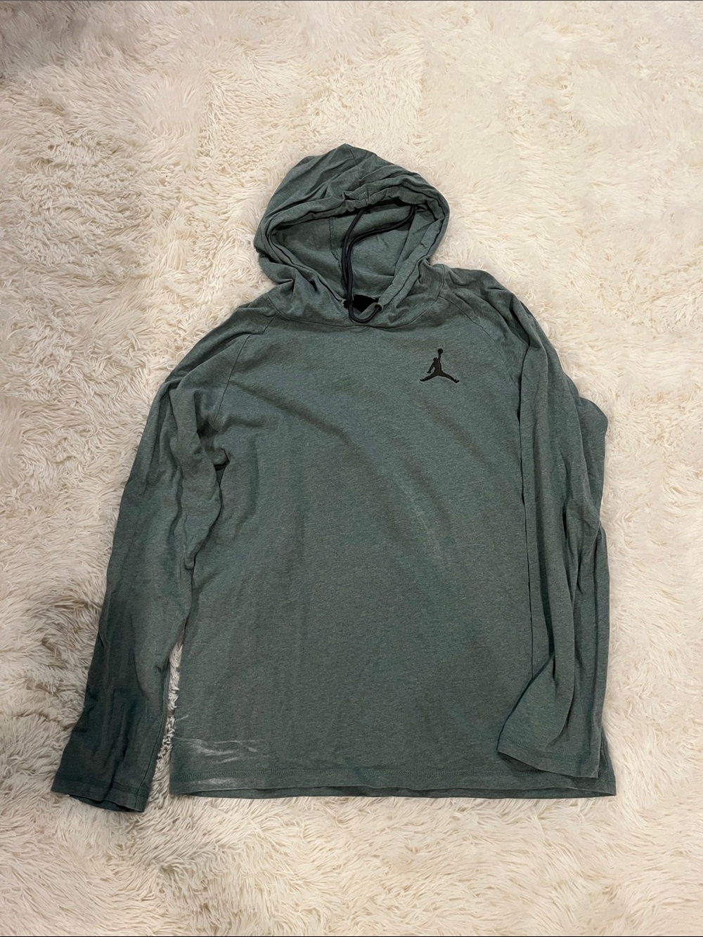 Jordan Men’s Heathered Teal Green Hooded Long-Sleeve Shirt
